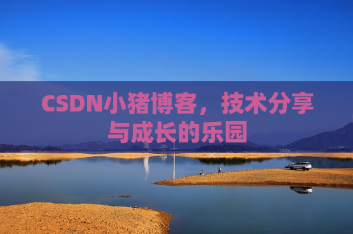 CSDN小猪博客，技术分享与成长的乐园